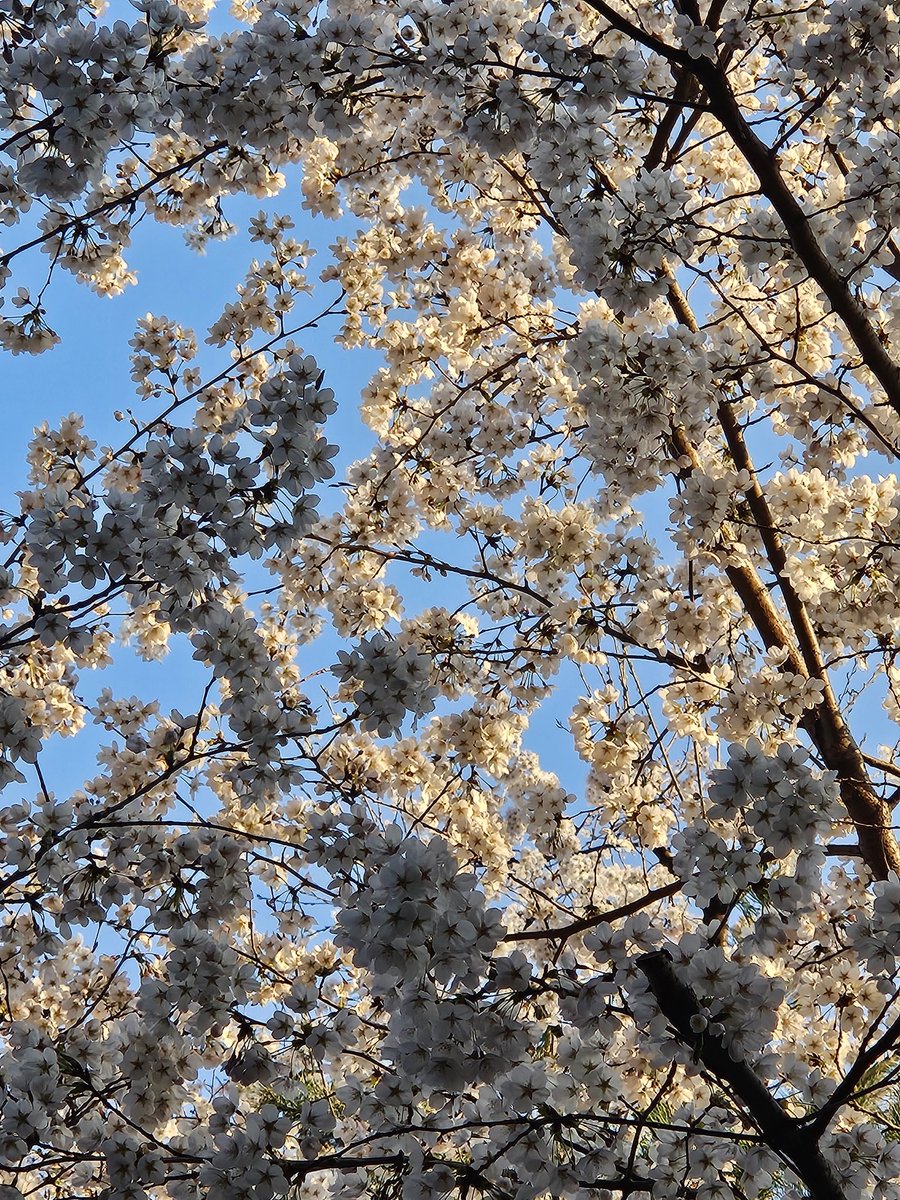 김덕만 tweet media