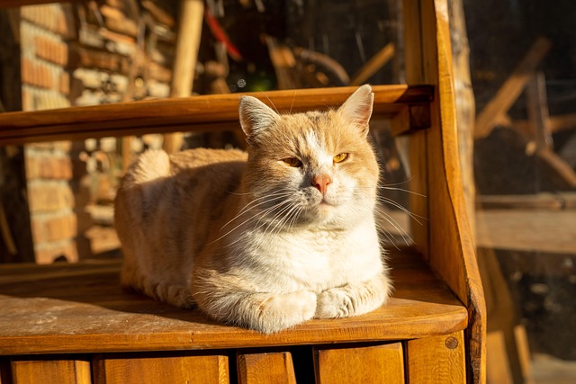 Rebecca Norman tweet media