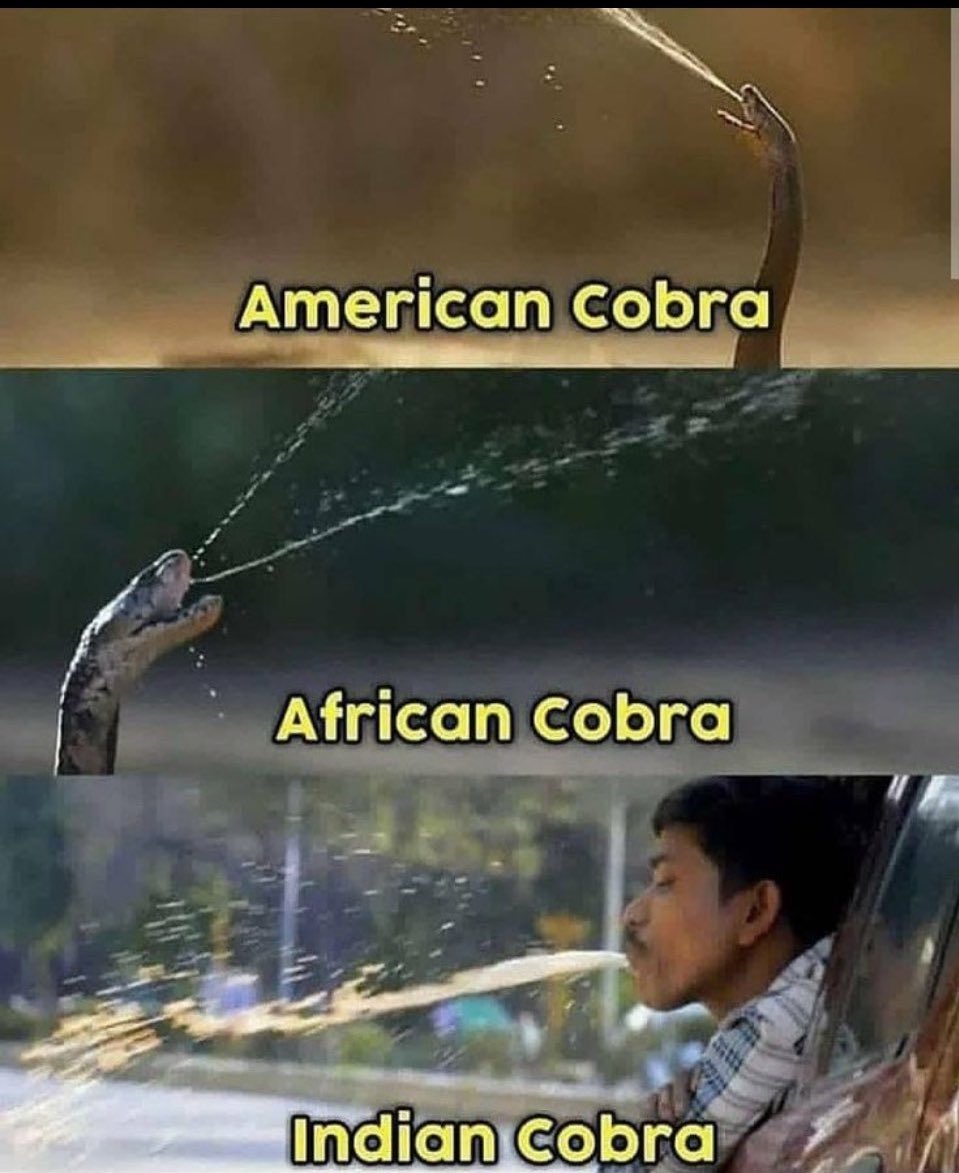 Subhashree. tweet media