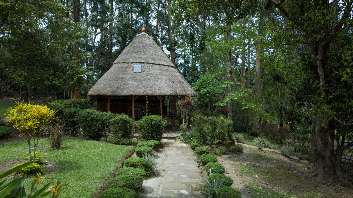 Ensulo Haven tweet media