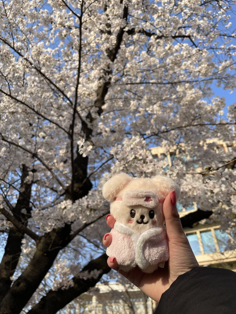 樂-J 🩵 tweet media