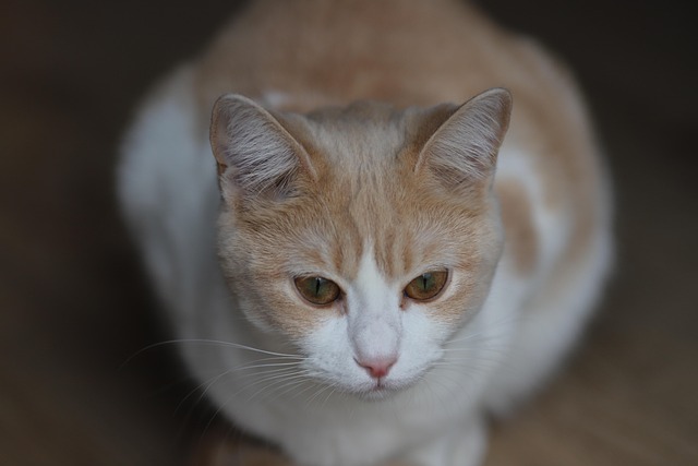 Jazzi Hendricks tweet media