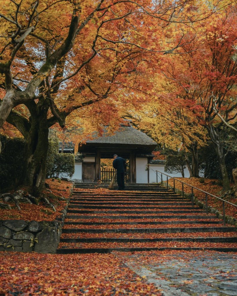 Fall at Kyoto's Anrakuji Temple 🍂 🍁 

 Japan 🇯🇵