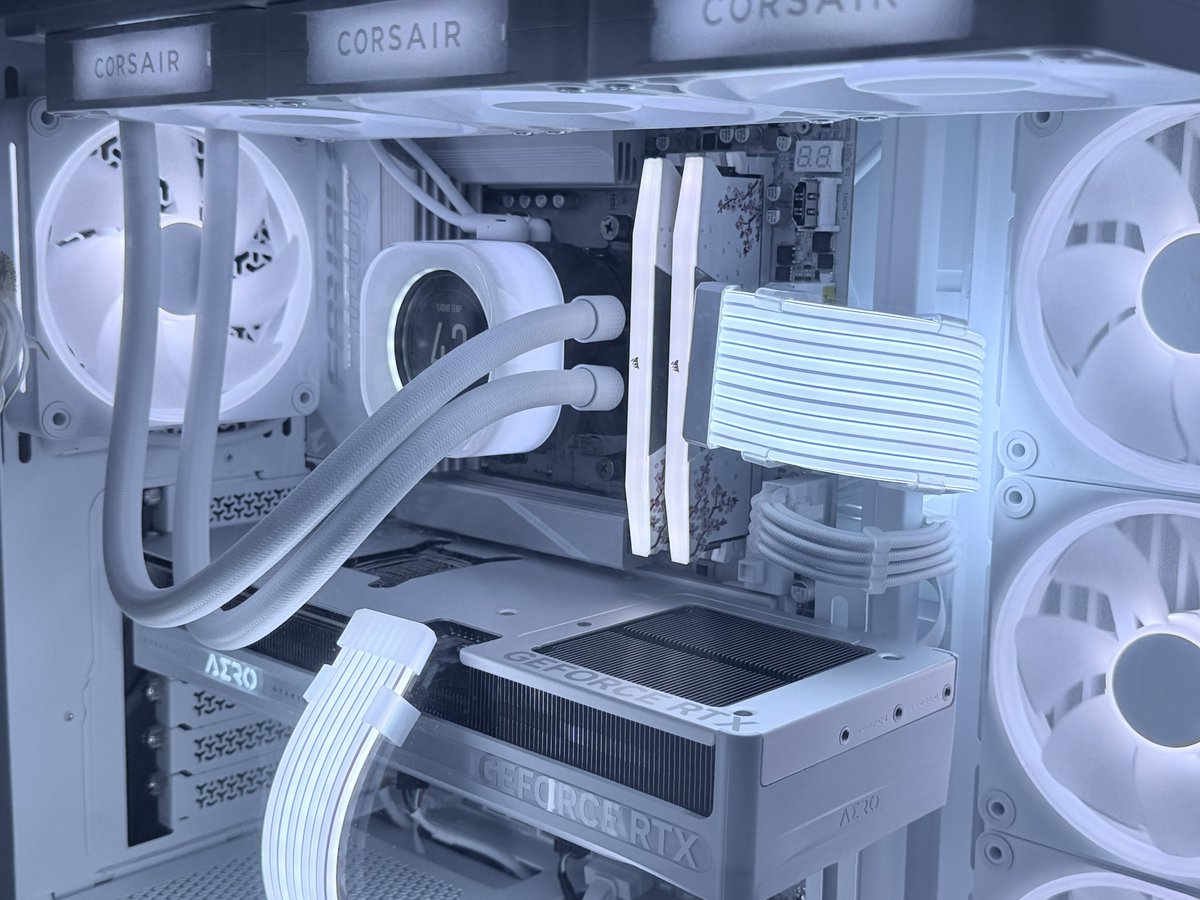 Chiinee🦋ちーね‎ tweet media