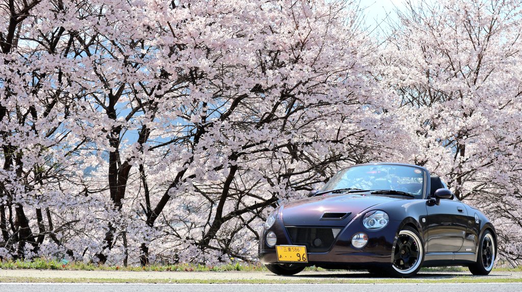 💜Kスケ⚡🐾 tweet media