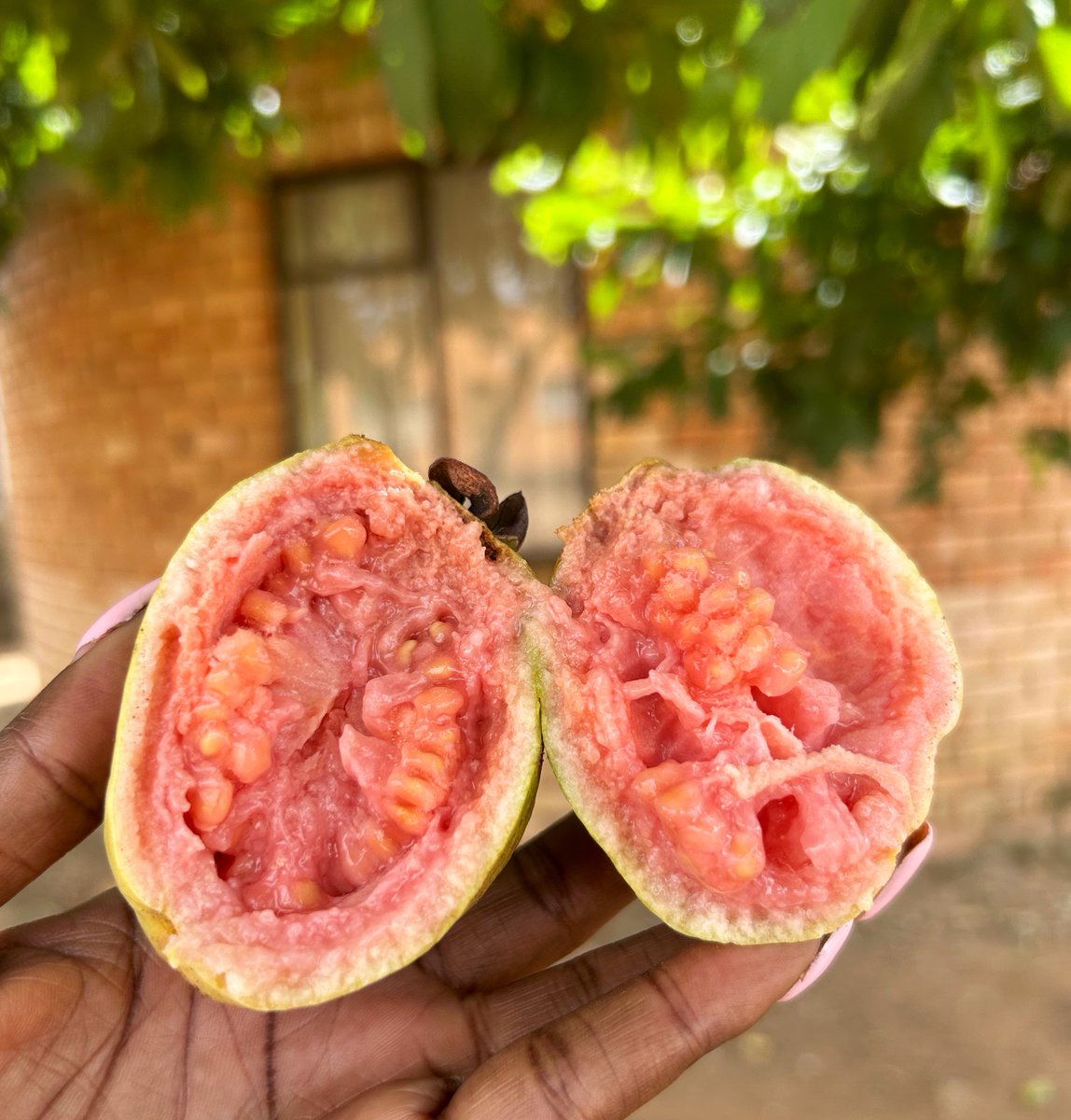 __N’wa+Mkhacani tweet media