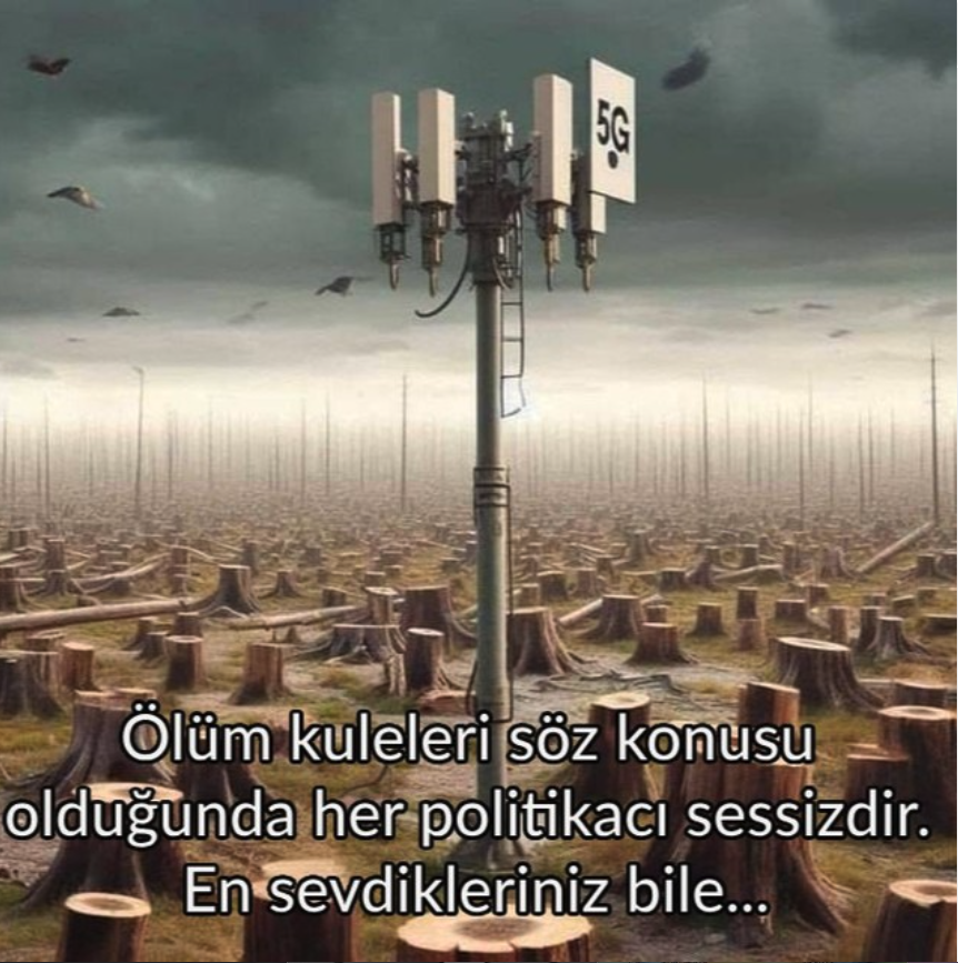 Spiritual Gangster tweet media