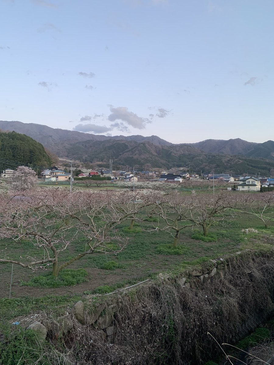 福蔵院（朱印場情報用） tweet media