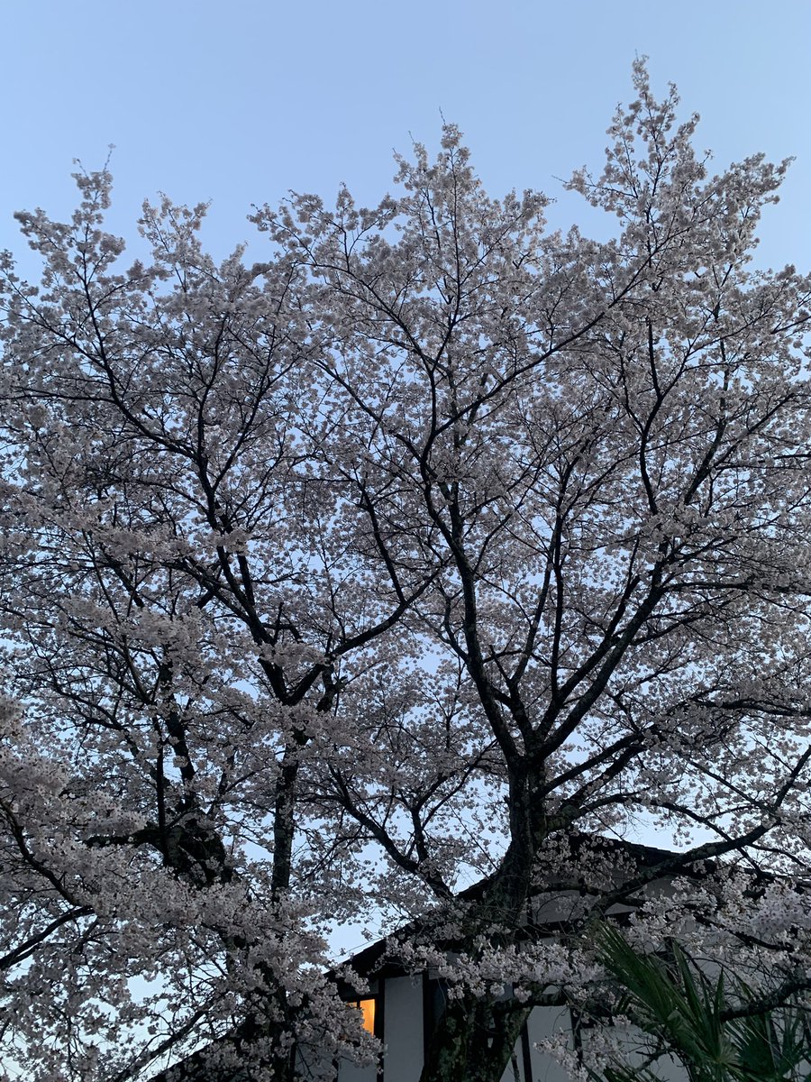 福蔵院（朱印場情報用） tweet media