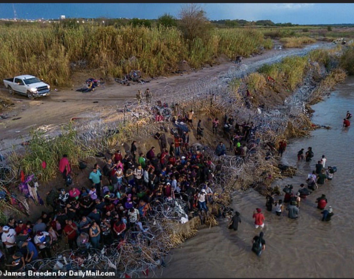 Elle Peep tweet media