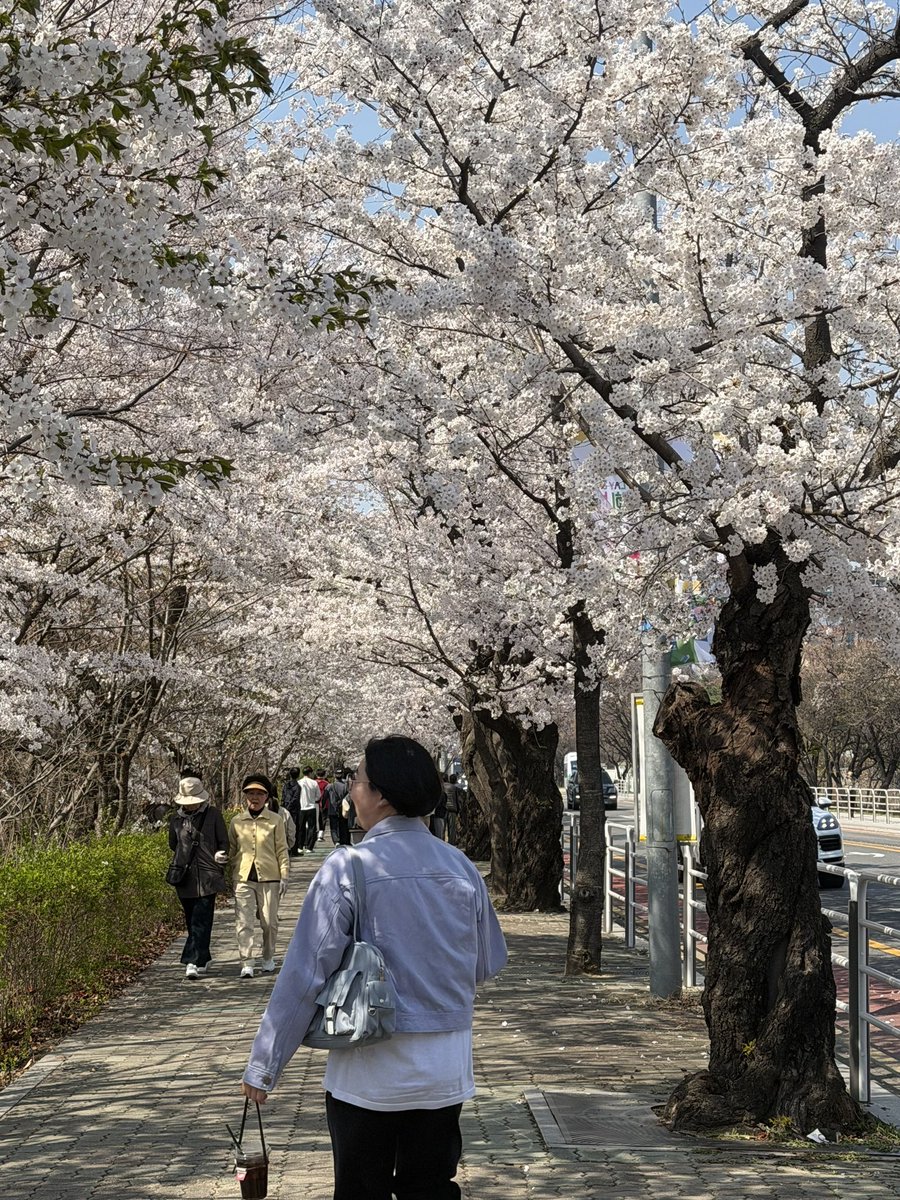 제로시스 tweet media