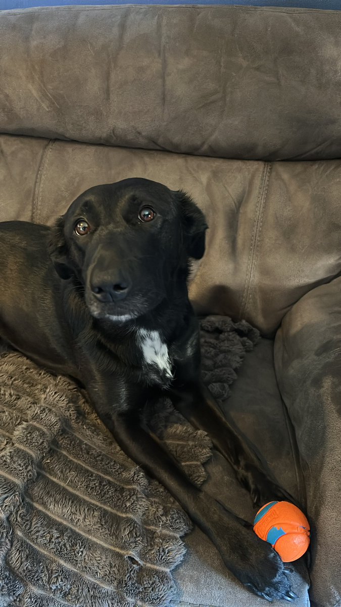 Allan Douglas-Munn tweet media