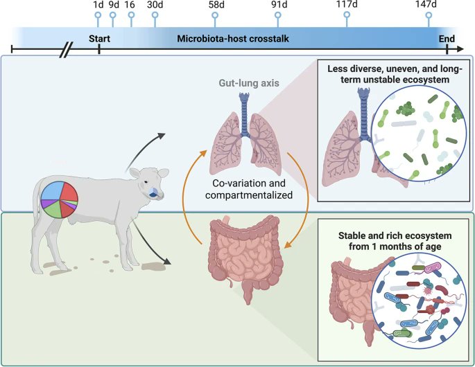 Microbiome tweet media
