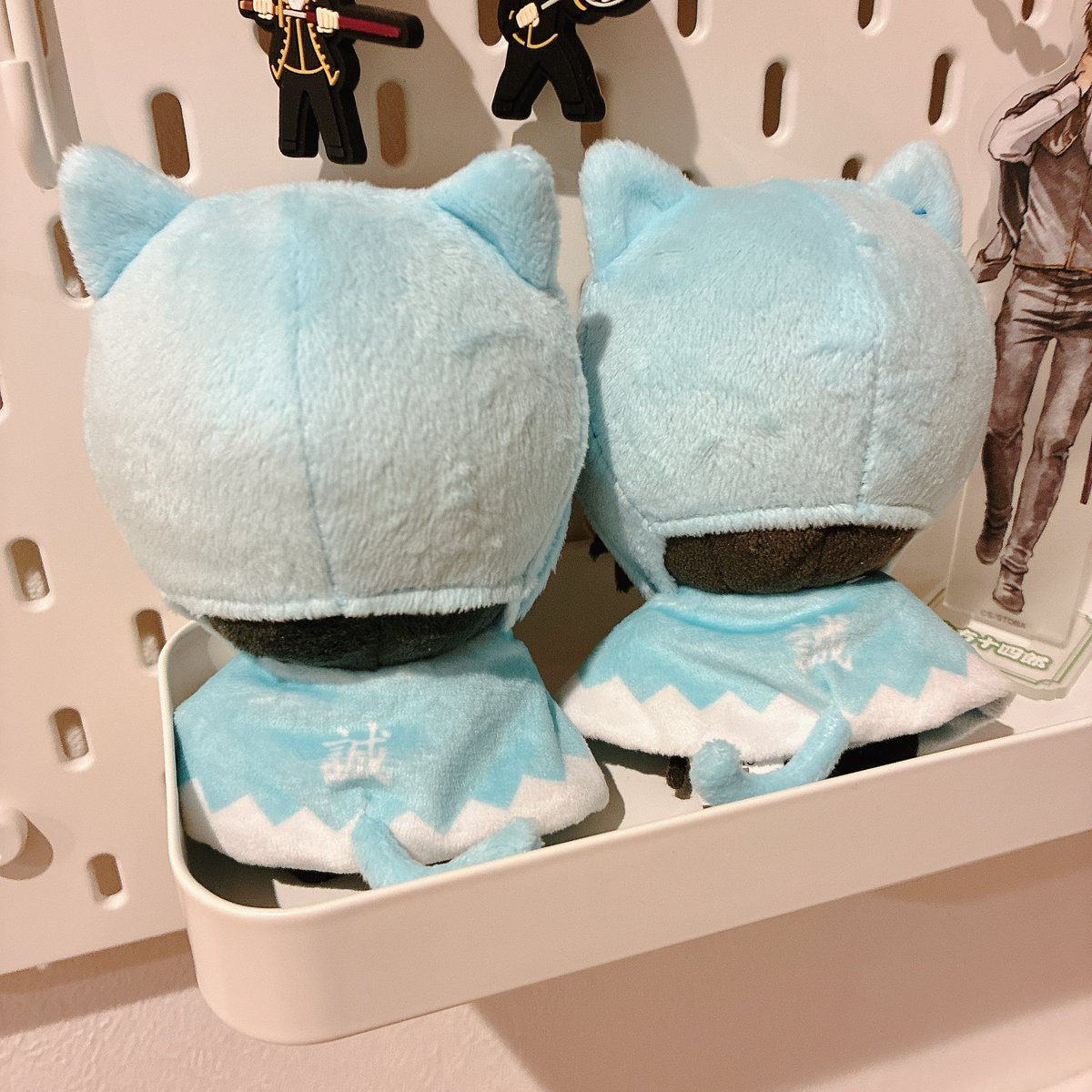 まめぬ tweet media