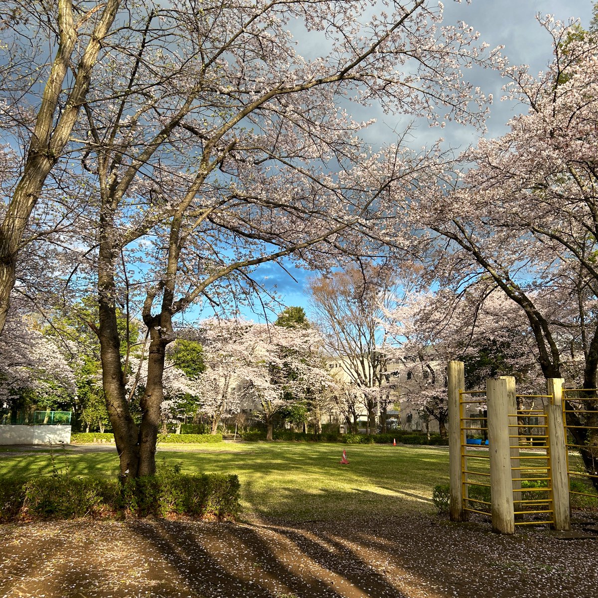 C4_office's tweet photo. 歩道からチラッと目をやれば、ついつい立ち寄ってしまいたくなるような風景でした👀✨ https://t.co/1EUNiZ7R8v