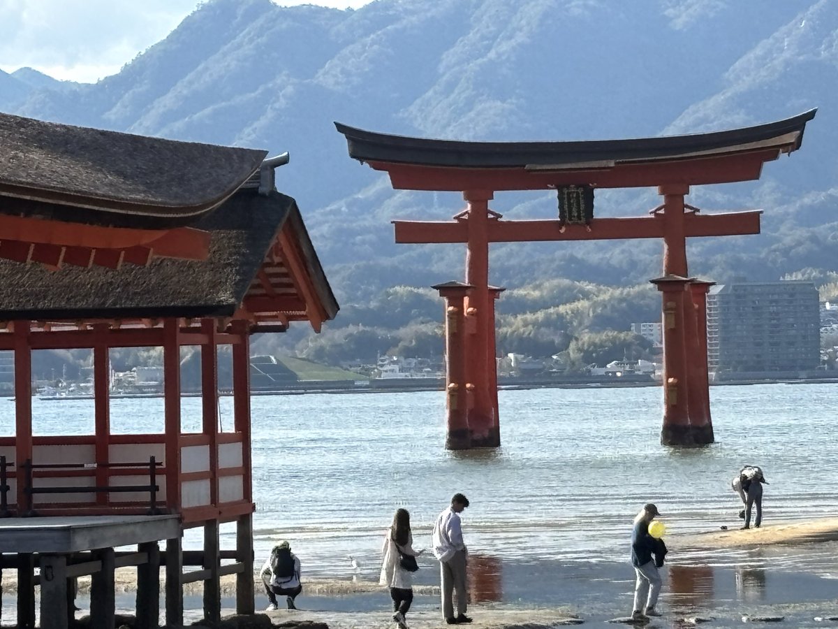 海老天重 tweet media