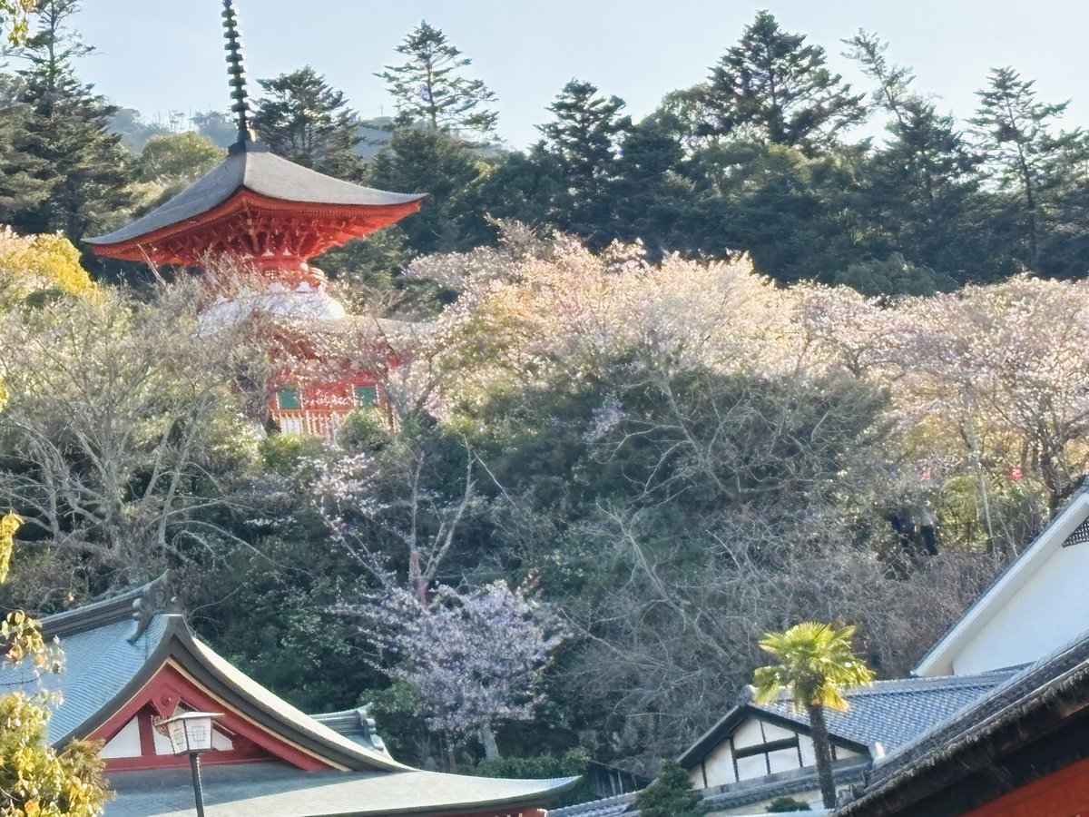 海老天重 tweet media