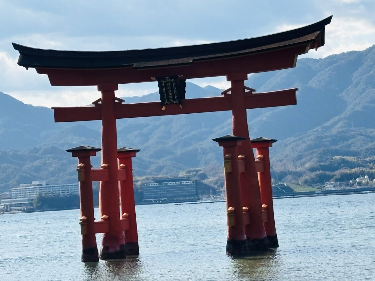 海老天重 tweet media