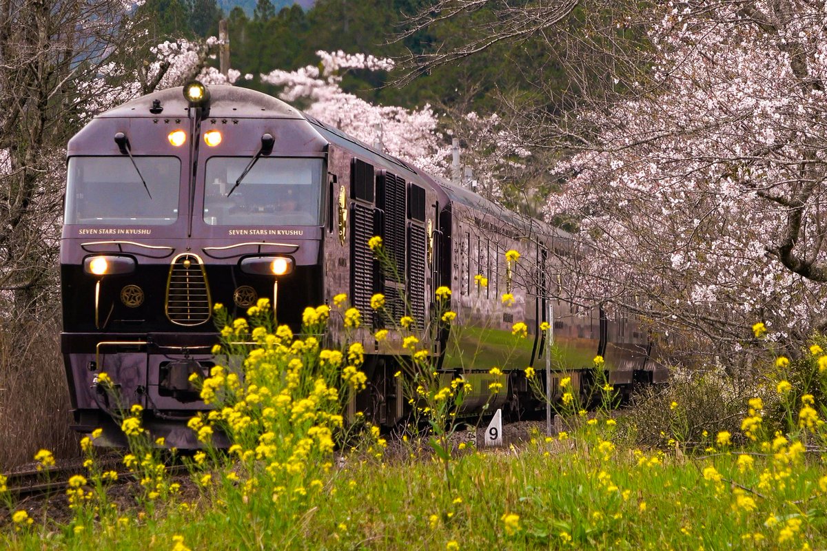 ＭＡＨＩＲＯ tweet media