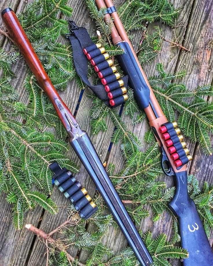 Gun Fanatics tweet media