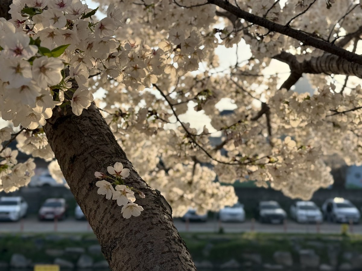 쭈허닝🍀 tweet media