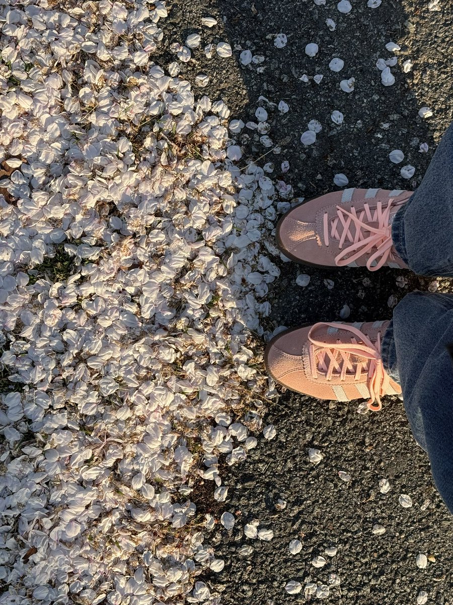 쭈허닝🍀 tweet media