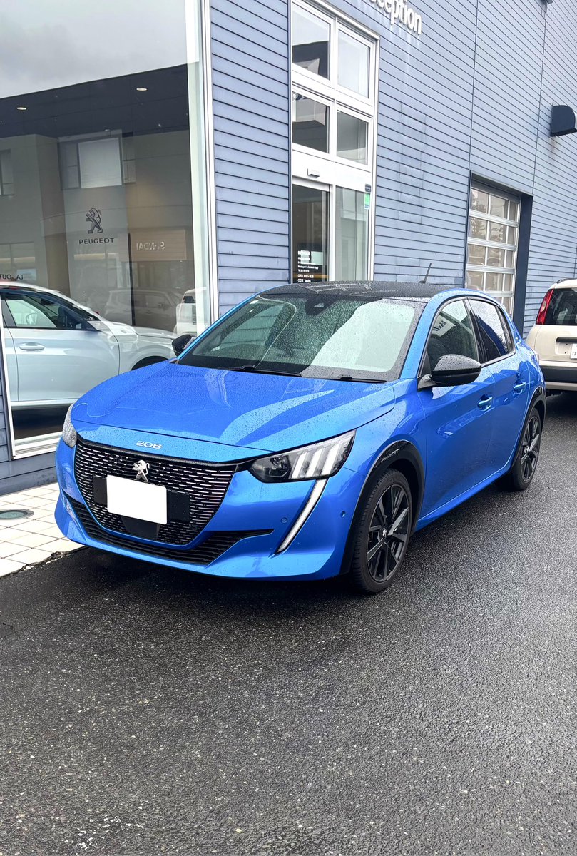 ミハル tweet media