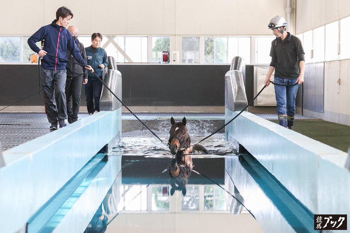 競馬ブックネットSHOP tweet media