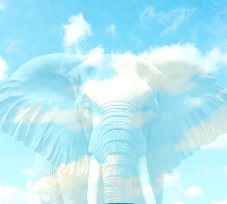 ริเอโกะ ฮิราโอกะ