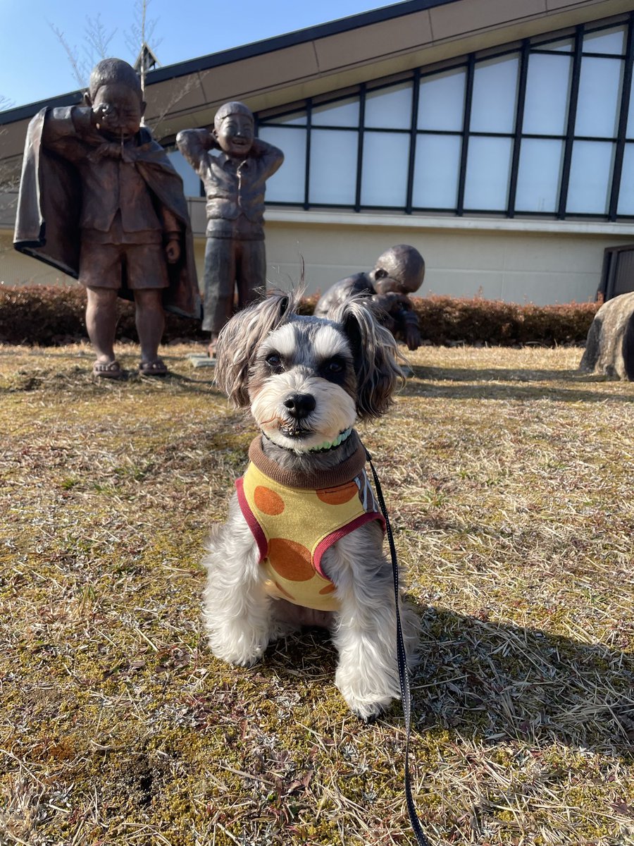 わんちゃん豆知識｜病気・飼い方・知識 tweet media