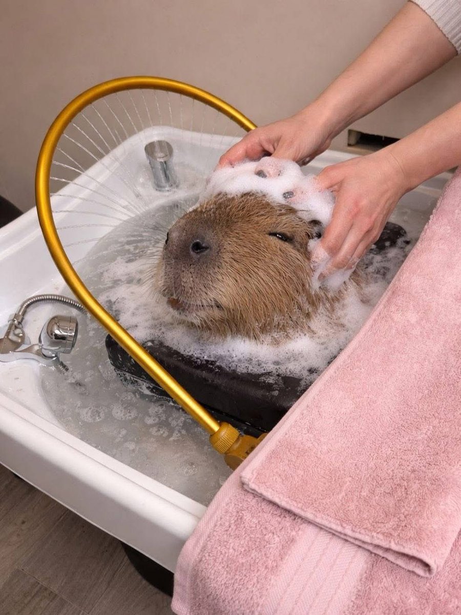 BM Barry tweet media