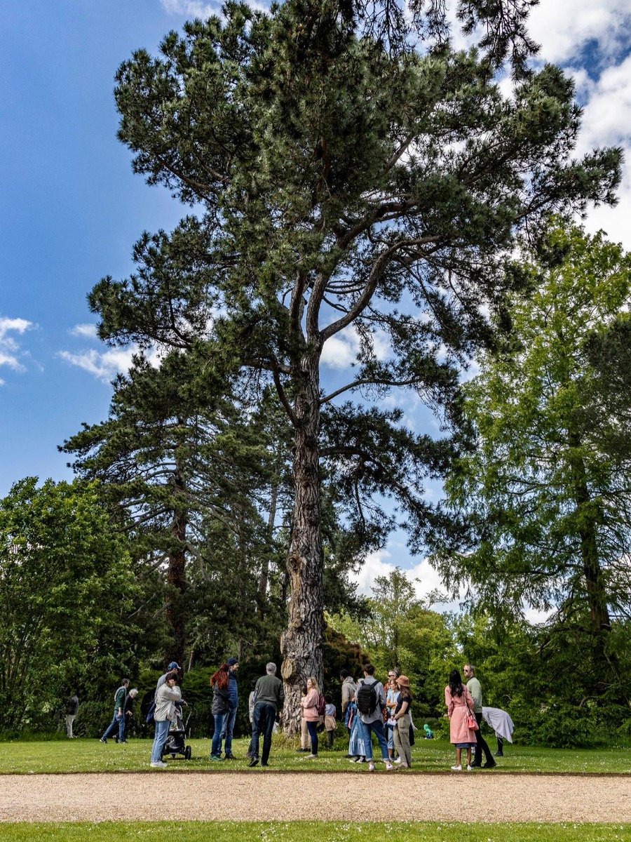 Cam Botanic Garden tweet media