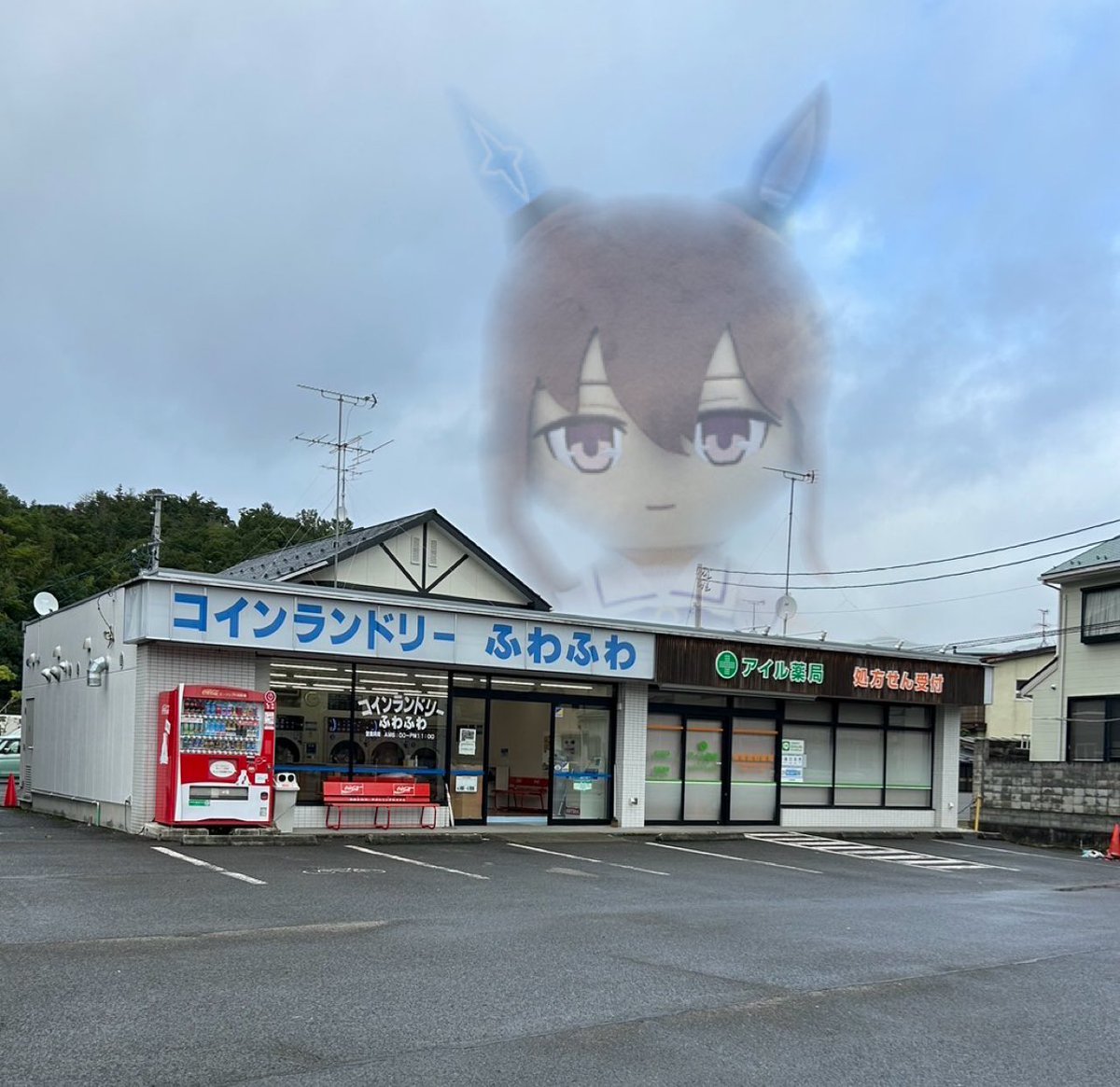 にゃん吉 tweet media