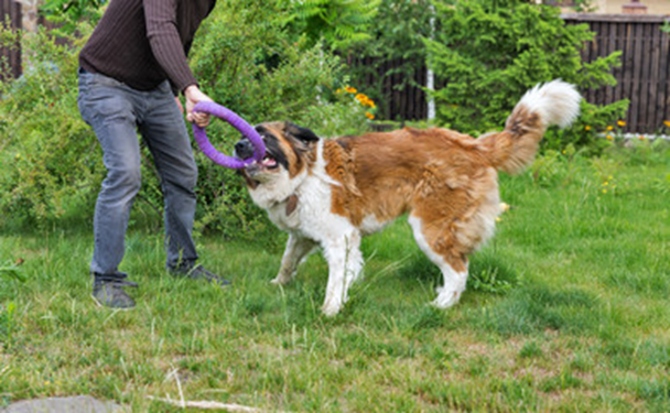 Eva Close tweet media