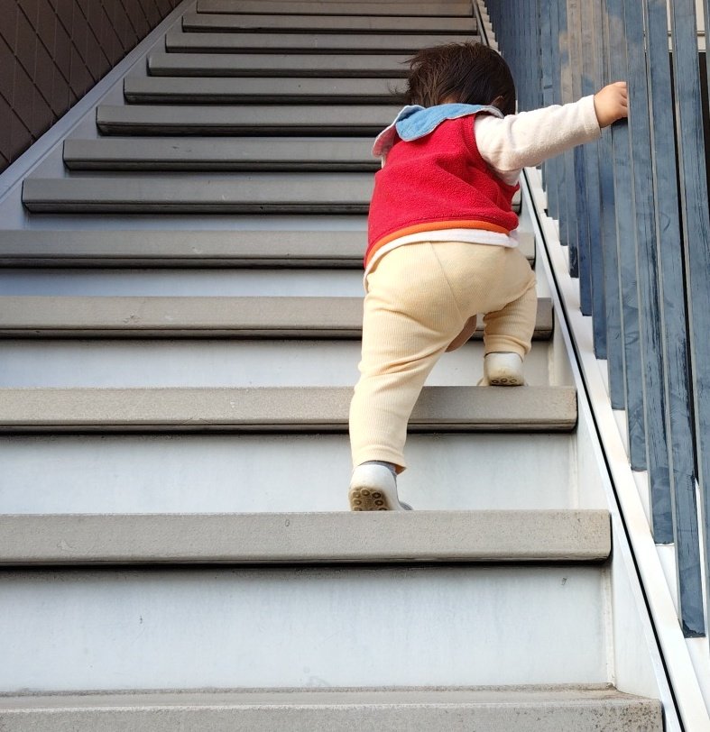 めこ☺︎🎀1🦏 tweet media