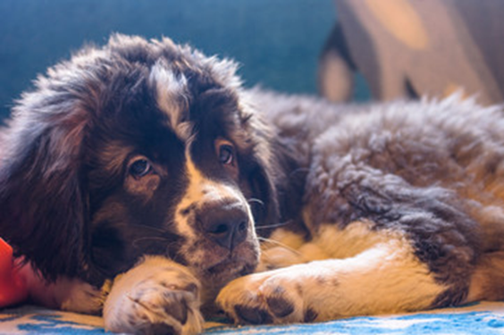 Eva Close tweet media