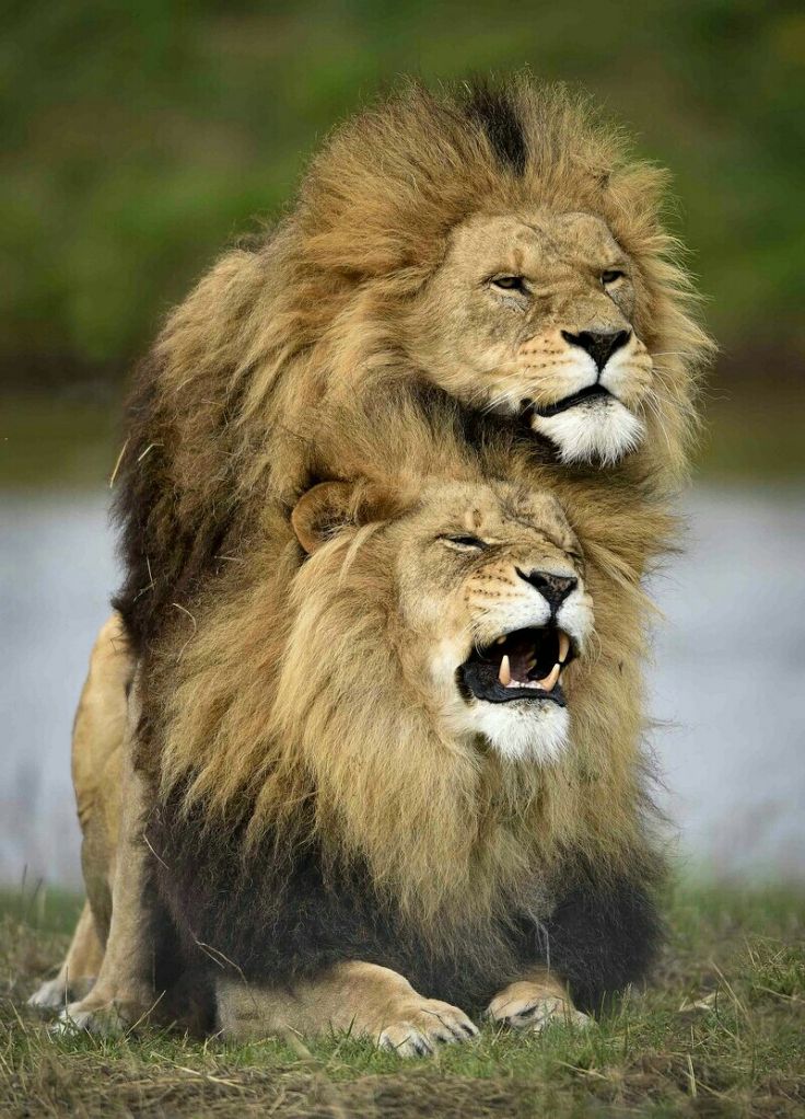 Agrarian tweet media