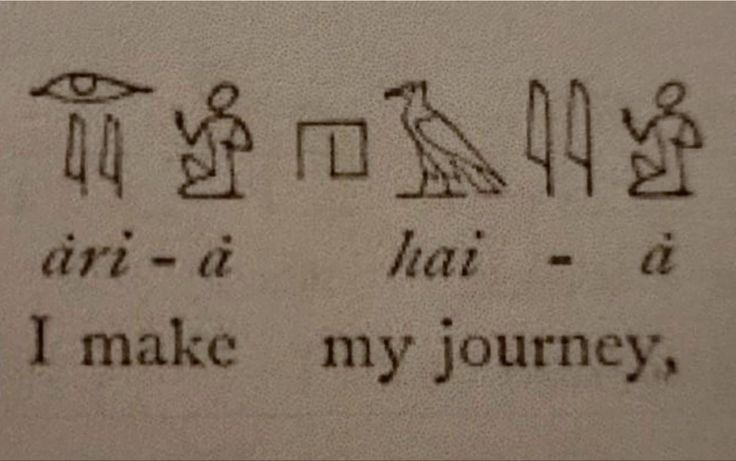 Blaize 🌙 tweet media