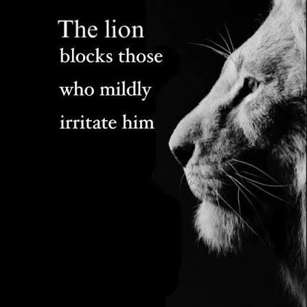 архипелаг джетлаг tweet media