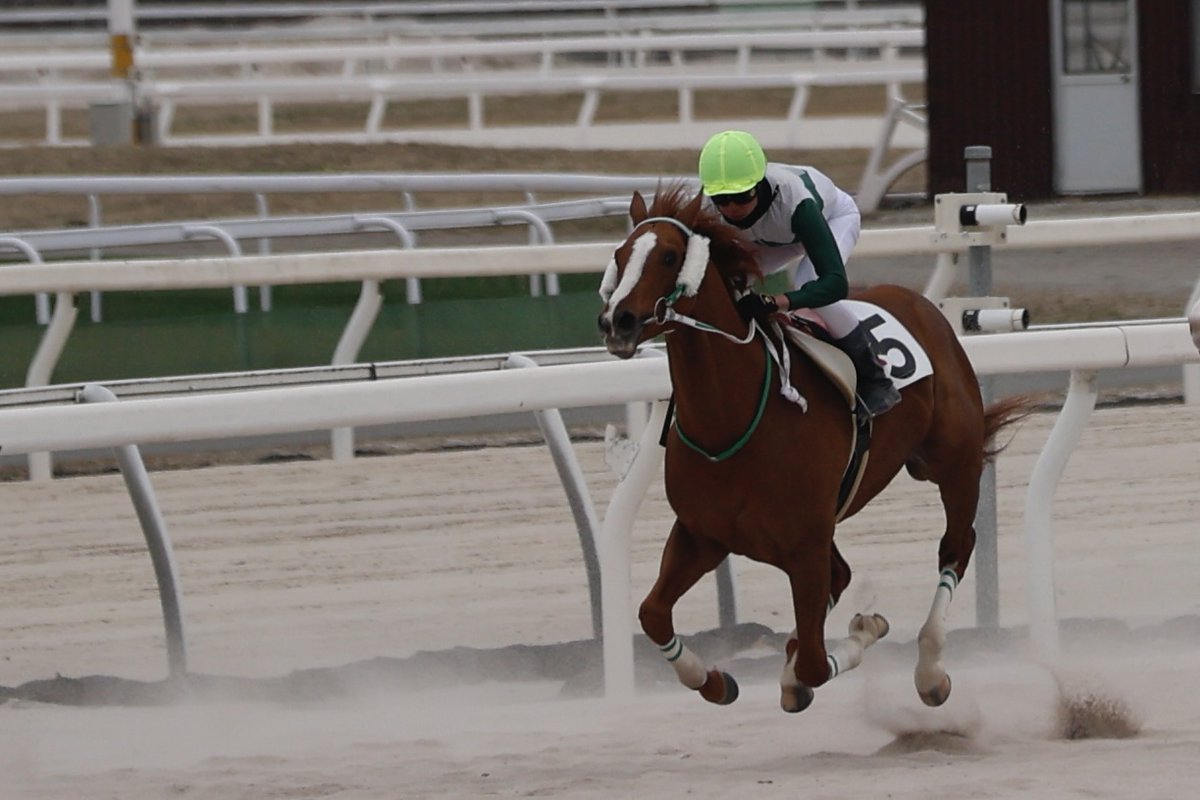 こうめ🍀 tweet media