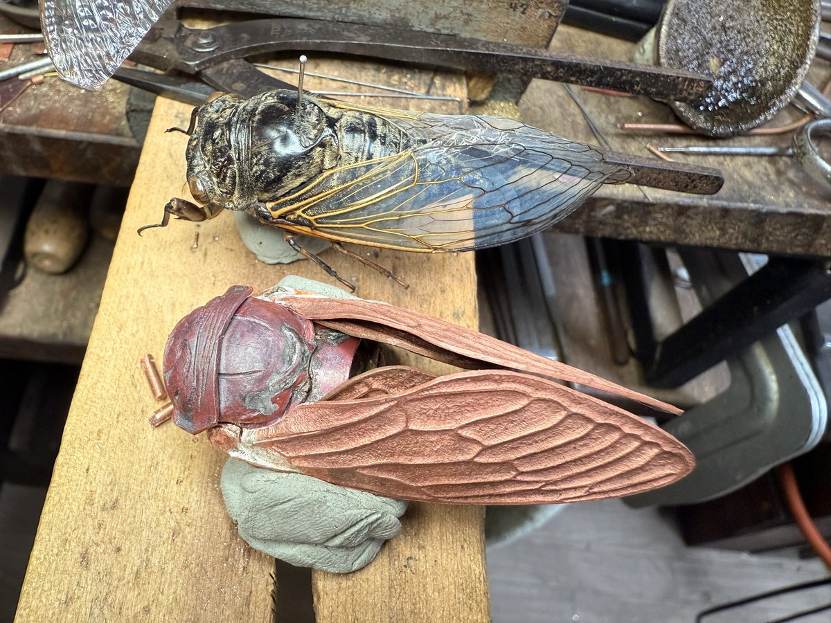 満田晴穂 tweet media