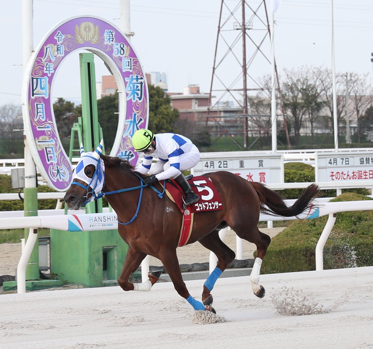 スポニチ競馬Web🐴 tweet media