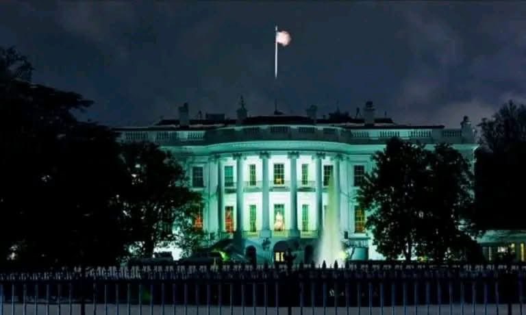 Paul White Gold Eagle tweet media