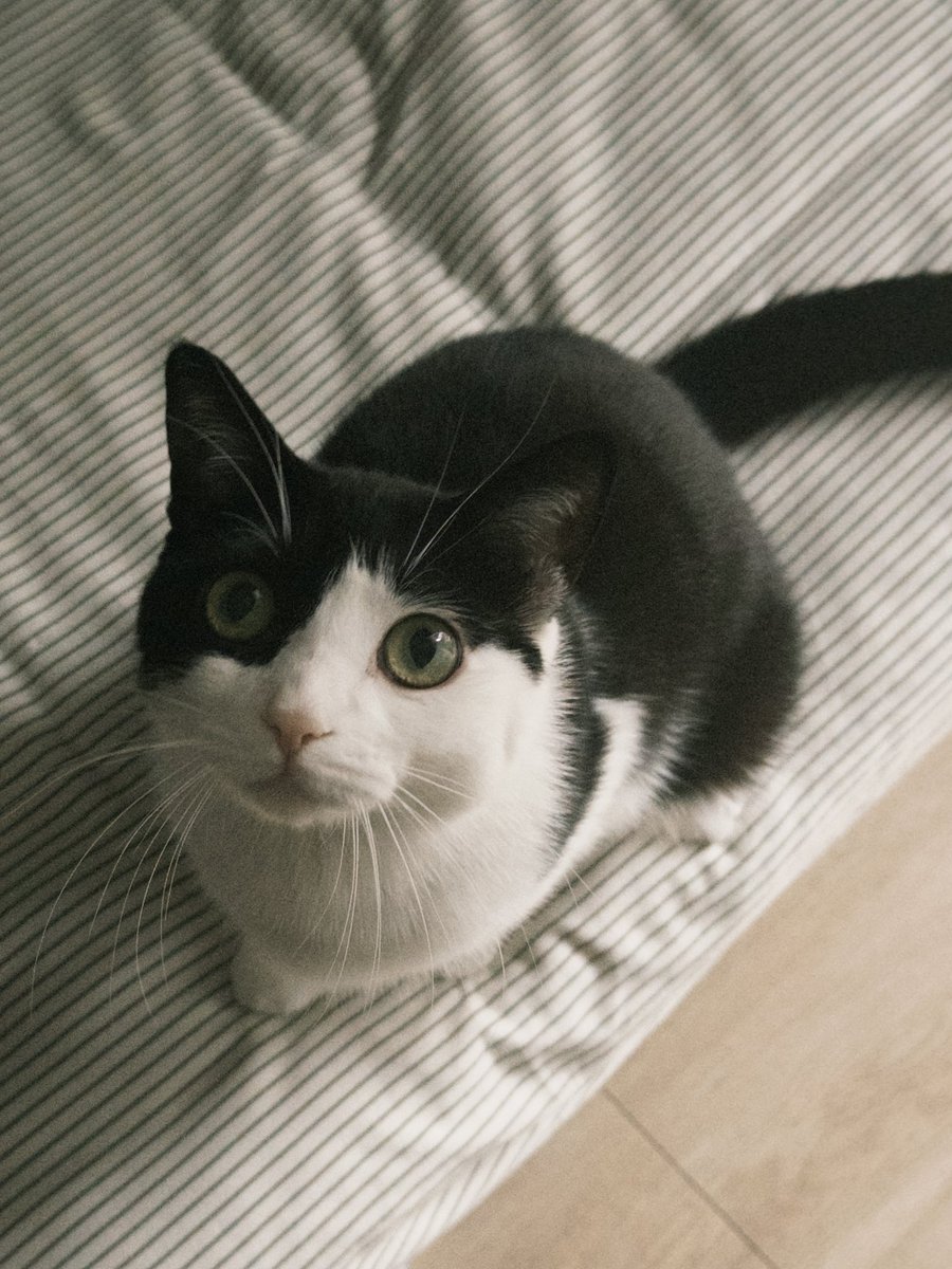 咪是邪牛海 tweet media