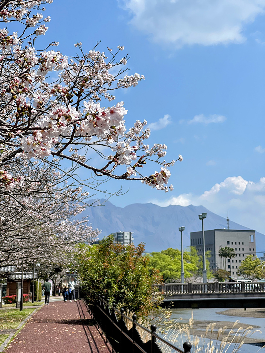 エルデザインプラス｜鹿児島｜デザイン事務所 tweet media