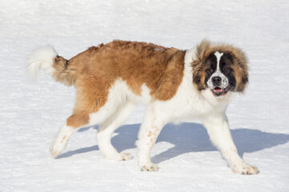 Eva Close tweet media