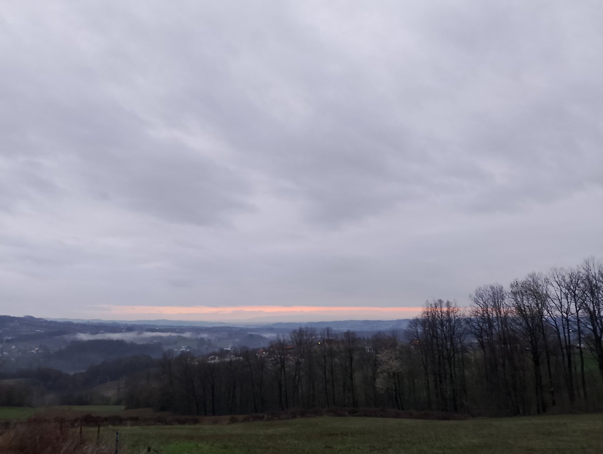 Berislav Blagojević tweet media