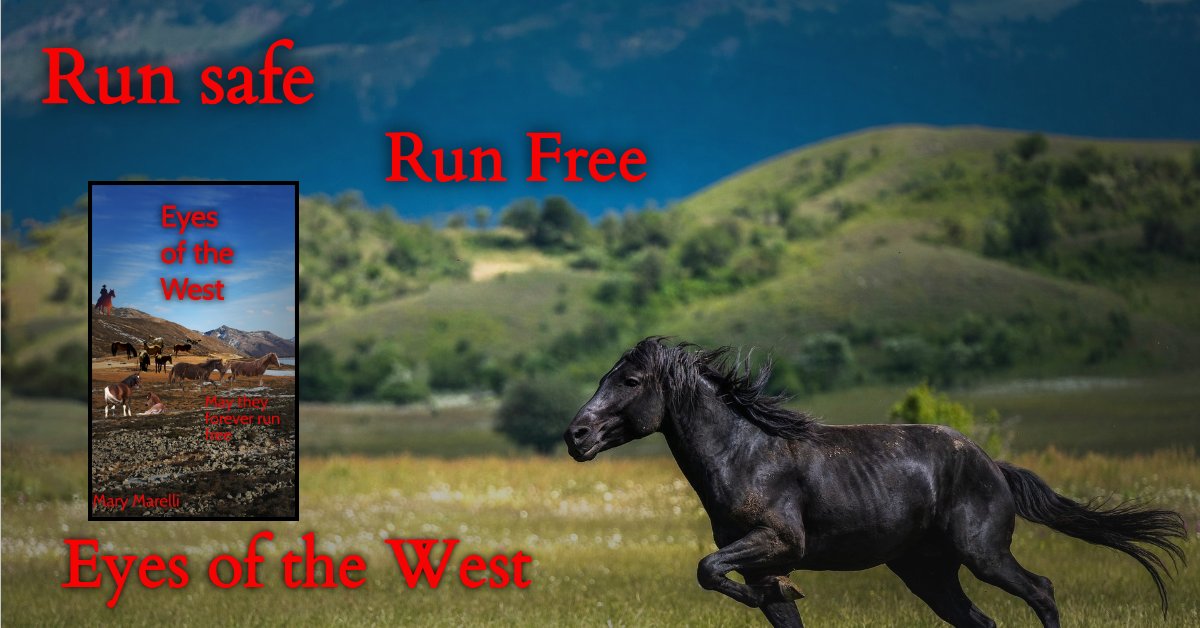 Mary Marelli tweet media