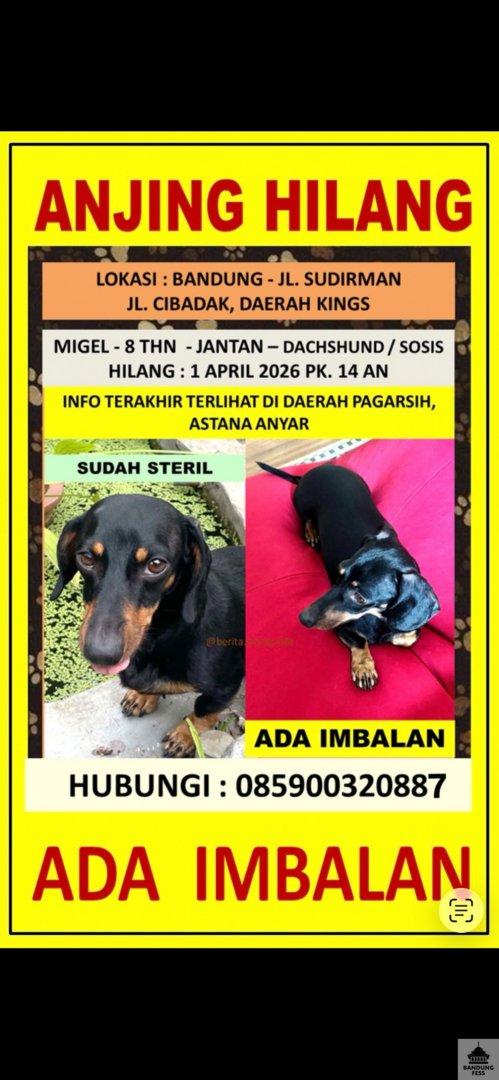 BANDUNG FESS | Kirim menfess cek 📌 tweet media