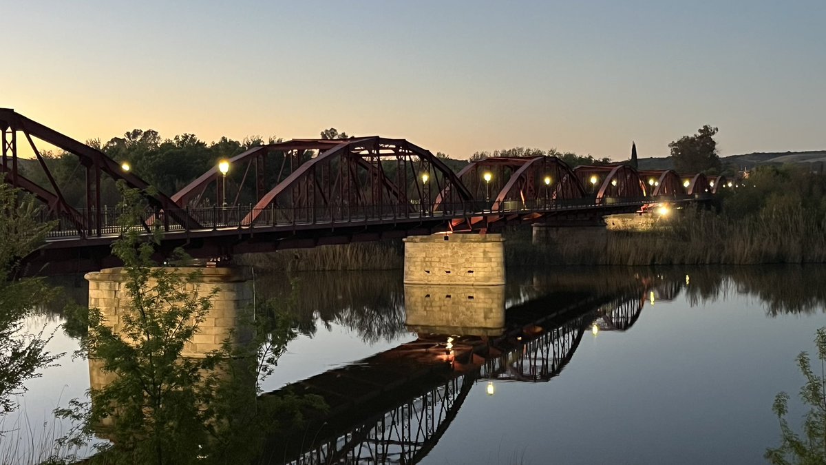 M.A.C.C. tweet media